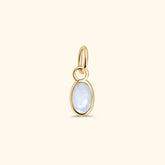 Moonstone Birthstone Hanger June | 14K Goud